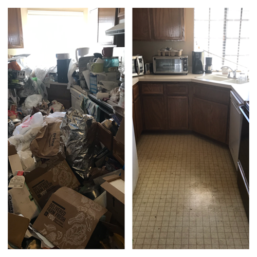 Hoarding Clean-up