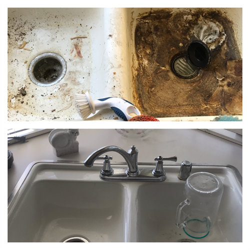 Gross Filth Clean-up