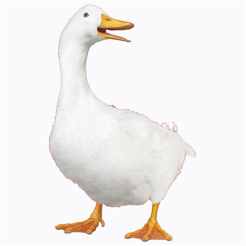 Gallery Image Aflac_-_Logo_5.jpg