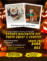 Fang-tastic Furry Friends: Spooky Halloween Pet Photo Contest & Shoot