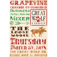 Business After Hours Mixer at Great Wolf Lodge