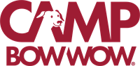 Camp Bow Wow - Grapevine