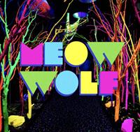 Meow Wolf Art Market With The Usual Artspects