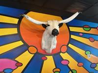 Live Music at The Bull - Andrea Venezio