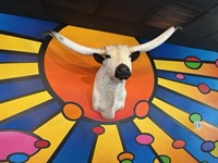 Live Music at The Bull - Trinity River Ramblers