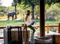African Safari: Into the Wild