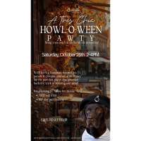 A Tres Chic Howl-O-Ween Party