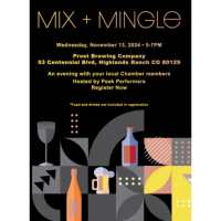 Mix + Mingle Networking Event