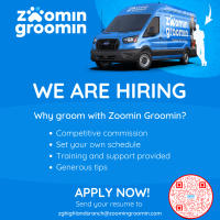 Zoomin Groomin is Hiring!