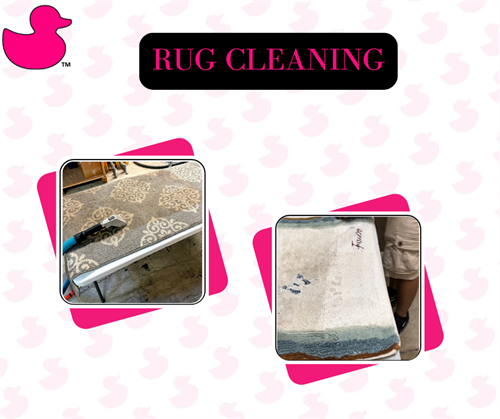 Commercial / Residential Spaces Rug Cleaning Commercial / Residential Spaces Rug Cleaning