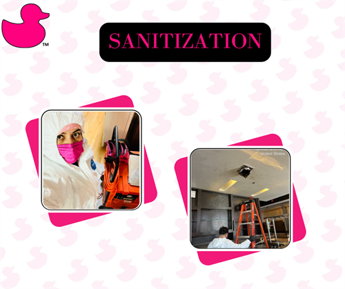 Commercial / Residential Spaces Sanitization Commercial / Residential Spaces Sanitization