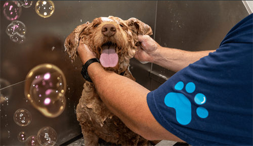 Gallery Image IMG_0034.png