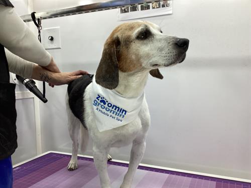 Gallery Image IMG_0073.jpeg