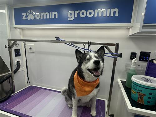 Gallery Image IMG_0094.jpeg