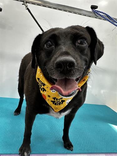 Gallery Image IMG_0146.jpeg