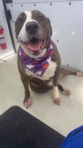 Gallery Image IMG_0153.jpeg