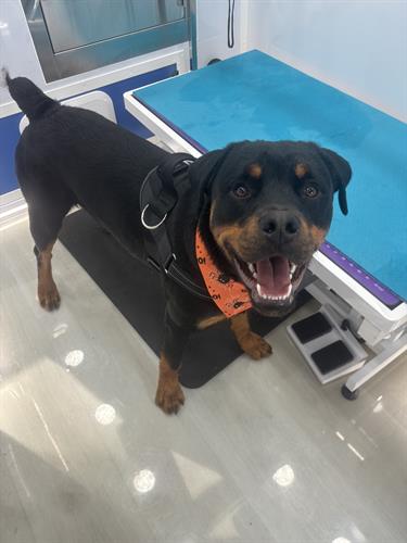 Gallery Image IMG_0156.jpeg