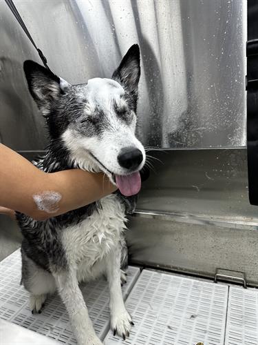 Gallery Image IMG_0212.jpeg