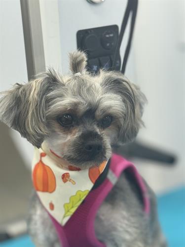 Gallery Image IMG_0245.jpeg