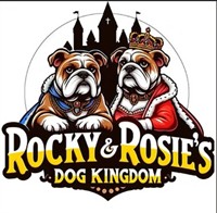 Rocky and Rosies Dog Kingdom