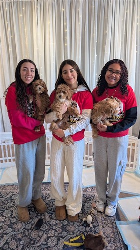 Canine Youth Leaders Workshop