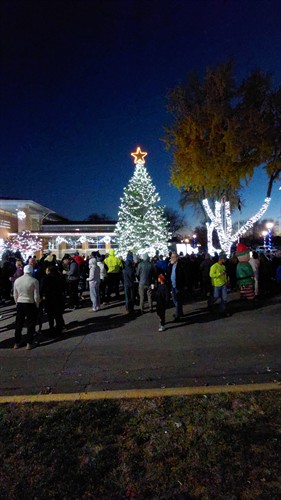 2025 Tree Lighting