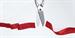 Ribbon Cutting Ceremony & Open House