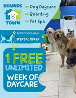 Hounds Town Alliance