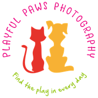 Playful Paws Photography