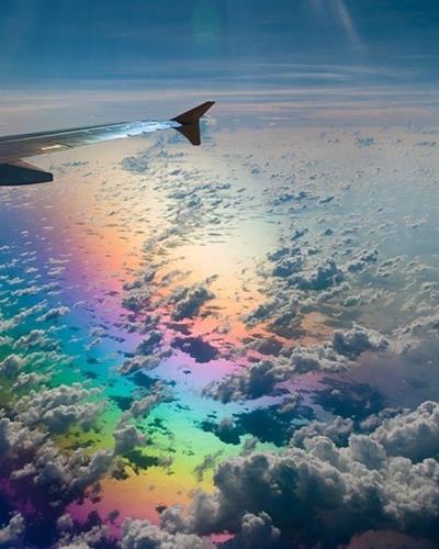 Fly away with Rainbow Getaways