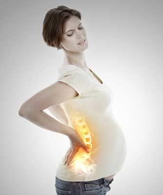 Gallery Image Pregnancy_back_with_spine.jpg