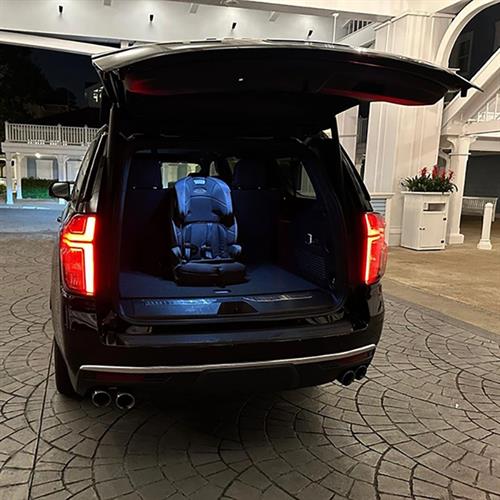 Gallery Image Olive-Luxury-Ride-child-seat-GBP.jpg