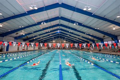 Gallery Image RAFC15(1).jpg