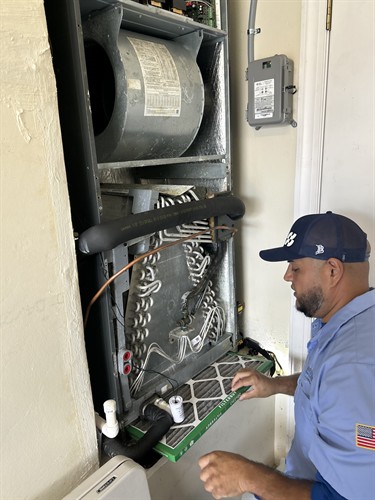 Gallery Image IMG_1173.jpeg