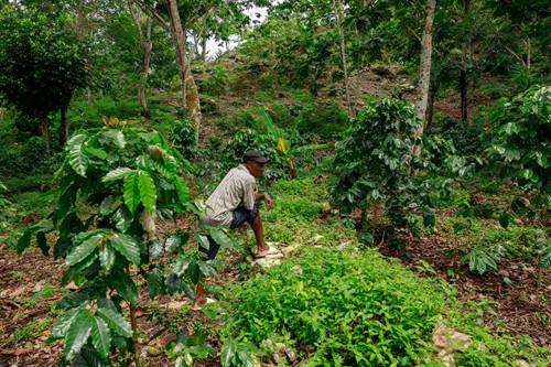 Gallery Image AD6A3748(2).jpg