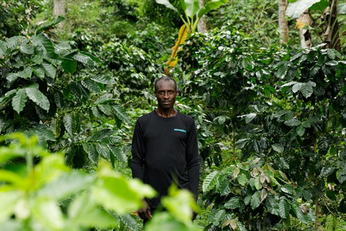 Gallery Image AD6A3817.jpg