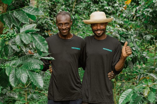 Gallery Image AD6A3833.jpg