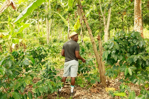 Gallery Image Avanti_Coffee_Company_(8_of_1)(1).jpg