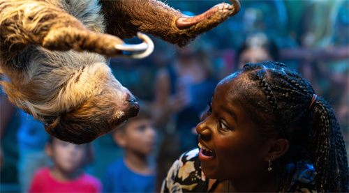 Make new friends during a sloth encounter!
