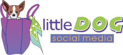 Little Dog Social Media