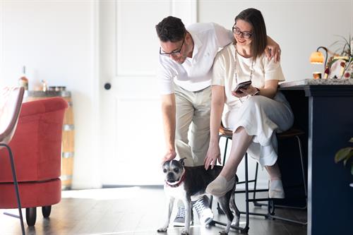 Meet our Boston Terrier - Reagan Meet our Boston Terrier - Reagan