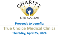 "Lights, Camera, Auction!" Charity Live Auction