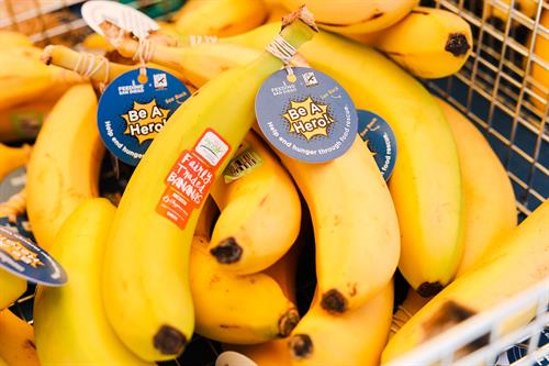 It's bananas that 35% of all food produced in the United States is wasted while hundreds of thousands of people across San Diego County face hunger. You can be a hero by taking action. 