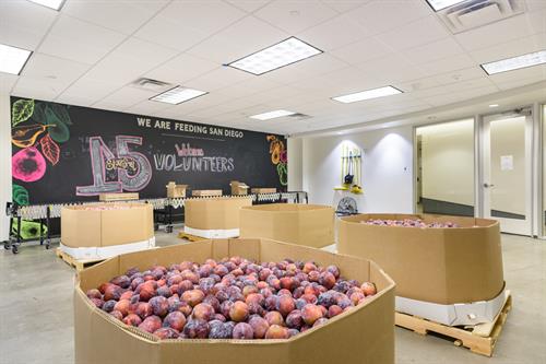 Join us in our Volunteer Center to help glean, sort, and pack food to get out into the community