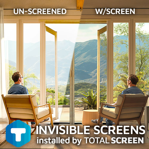 Invisible Screens - Ideal for Double-Door spaces