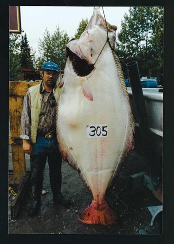 A Barndoor Pacific Halibut!!! A Barndoor Pacific Halibut!!!