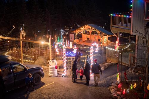 Garden of Lights Garden of Lights