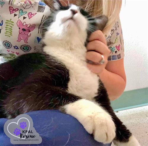 Zippy - ADOPTED! Zippy - ADOPTED!