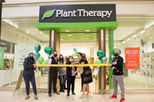 Plant Therapy  Twin Falls ID