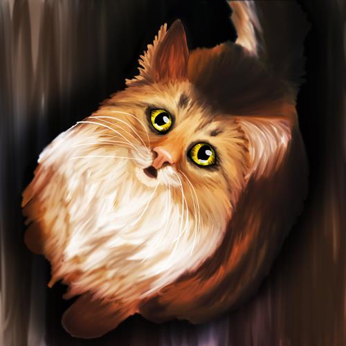 A pet portrait I did of a cute cat.